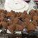 Cooksnap dari Rina Azzahra untuk resep Bolu kukus mekar Coklat