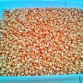 Cooksnap dari Ucie Eka untuk resep 210. Kacang Bawang