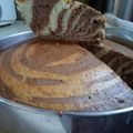 El cooksnap de Verónica Agüero cuando hizo Bizcochuelo marmolado.