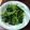 Lin Shu Jhen 的 清炒地瓜葉 cooksnap