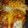 ElMrPapi's cooksnap of when they made Chicken parmesan.