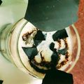Smruti Shah's cooksnap of when they made ચીકુ ચોકો શેક(Chikoo Choco Shake Recipe In Gujarati).