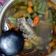 Cooksnap dari Wahyu Sekarsari untuk resep Asem asem Ayam Buncis
