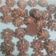 Cooksnap dari Arleta _Putri untuk resep Kue Semprit Coklat Renyah