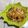 Cooksnap dari Lia Waroka untuk resep Paklay goreng