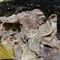 Cooksnap dari Nyayoer Online untuk resep Rendang Daging