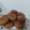 El cooksnap de rosanaperez_26 cuando hizo Galletas de Avena y Cacao Amargo.