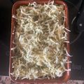 El cooksnap de Laura cuando hizo 612. Gratinado de calabacín y jamón serrano (principal verdura).