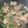 รูป Cooksnap ของ Sasi เมื่อเขาทำ ต้มแซ่บกระดูกหมูอ่อน