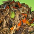 Cooksnap dari Mifta Giyanti untuk resep Suwir Tongkol Pete Kemangi