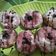 Cooksnap dari Litha Setiawan untuk resep Donut J-CQ buatan unda lia tanpa kentang,takstur Lembut.