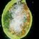 Kirtee Vadgama's cooksnap of when they made વેજ - કોર્ન સબ્જી.