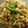 Sima Dutta Biswas's cooksnap of when they made ঝিঙে-আলু পোস্ত(jhinge aloo posto recipe in Bengali).