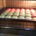 Cooksnap dari Nina untuk resep Macaron