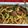 King-Crimson's cooksnap of when they made Udon breakfast.