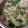 Cooksnap dari Nurul LaylyHabibah untuk resep Sayur Bobor Bayam
