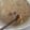 Cooksnap dari vita komersial untuk resep Rawon Ayam