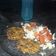 El cooksnap de Flor Berazaluce cuando hizo Hamburguesas de atùn.
