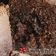 Cooksnap από foodie1973 στη συνταγή Κέικ με κακάο, κανέλα και nutella