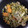 El cooksnap de M.Jose cuando hizo Menestra de verduras con pechuga de pavo (fiambre de pavo).
