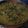 El cooksnap de Gyno Ramirez Reynoso cuando hizo Carne de puerco 🐷 con verdolagas 🌱 en salsa mixta 🍈🍅.