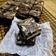 Cooksnap dari arie dewi untuk resep Cheesecake brownies