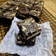 Cooksnap dari arie dewi untuk resep Cheesecake brownies