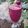 Beena Radia's cooksnap of when they made Dragon Fruit Oats Smoothie Bowl – no sugar & Healthy.