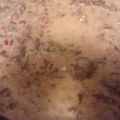 astovall2's cooksnap of when they made Crock pot bacon cheeseburger soup.