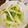 劉興偉 的 清炒小白菜 cooksnap