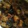 Cooksnap dari Neni Tari untuk resep Semur ayam pedas kental ala tatachu
