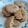 Cooksnap dari bundaKiyya untuk resep Nestum Cinnamons Cookies