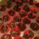 Cooksnap dari Maya Maulana Maisan untuk resep Coklat chococrunch