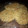 El cooksnap de Nicolas Mendoza cuando hizo Milanesas vegetarianas / veganas de arroz integral y lentejas. (SIN GLUTEN Y SÚPER ECONÓMICAS!).