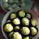 Cooksnap dari Ina Wibisono untuk resep Nastar Keju Melted (Recomended) 👌👌