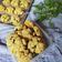 Cooksnap dari Ika Mahendra Moenif untuk resep Crunchy Oatmeal Olive Oil Cookies (No Mixer)