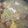ALISA LULU 的 瓠瓜香菇貢丸湯 cooksnap