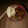 El cooksnap de mealideasfromyouraveragequeer cuando hizo Katsudon (Arroz con cerdo rebozado).