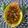Saroj Shah's cooksnap of when they made લીલી ડુંગળી ટામેટાનું શાક(Spring onion tomato sabji recipe in gujarati).