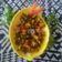 Saroj Shah's cooksnap of when they made લીલી ડુંગળી ટામેટાનું શાક(Spring onion tomato sabji recipe in gujarati).