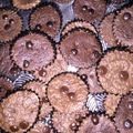 Cooksnap dari lusna untuk resep Brownies Kering Chocochips (Brownchips)