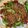 Cooksnap dari mutia untuk resep Tumis Buncis Daging Cincang