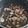 El cooksnap de Isabel Landecho cuando hizo Calamares en su tinta.