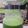 Cooksnap dari Maya untuk resep Green smoothie Pokcoy