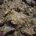 Cooksnap dari Bunda Titik untuk resep Bistik daging sapi