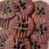 Cooksnap dari Siti Zubaidah untuk resep Cookies Chocolatos (Tanpa mixer)