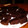 El cooksnap de susana lederer cuando hizo Brownie de lentejas y algarroba.