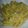 J.A.B.'s cooksnap of when they made Vodka sauce.