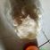 Cooksnap dari AnNisa Megasari untuk resep Cireng simple