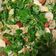 El cooksnap de Miguel cuando hizo Ensalada con queso feta y alcachofas.
